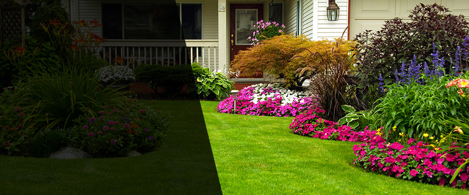 Cayce Landscapers